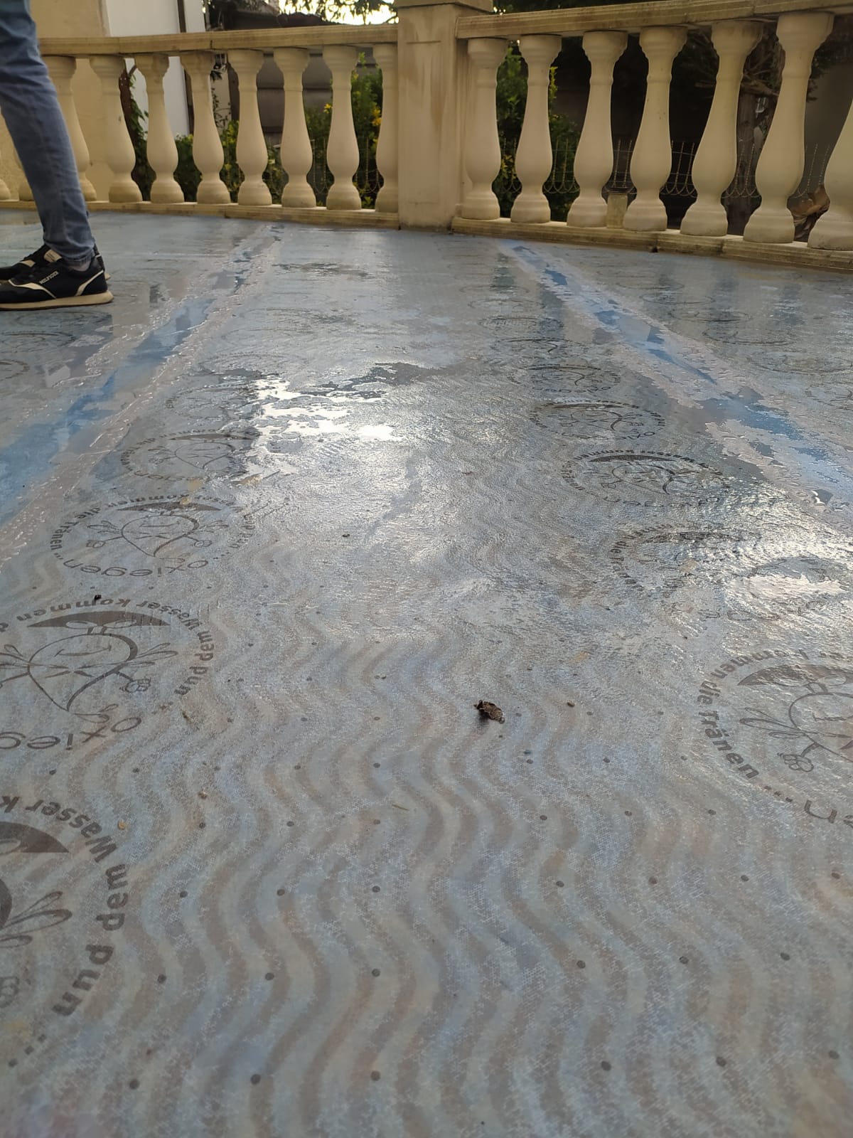 047db8ed-ad4e-41b3-9b15-6f33919f9100