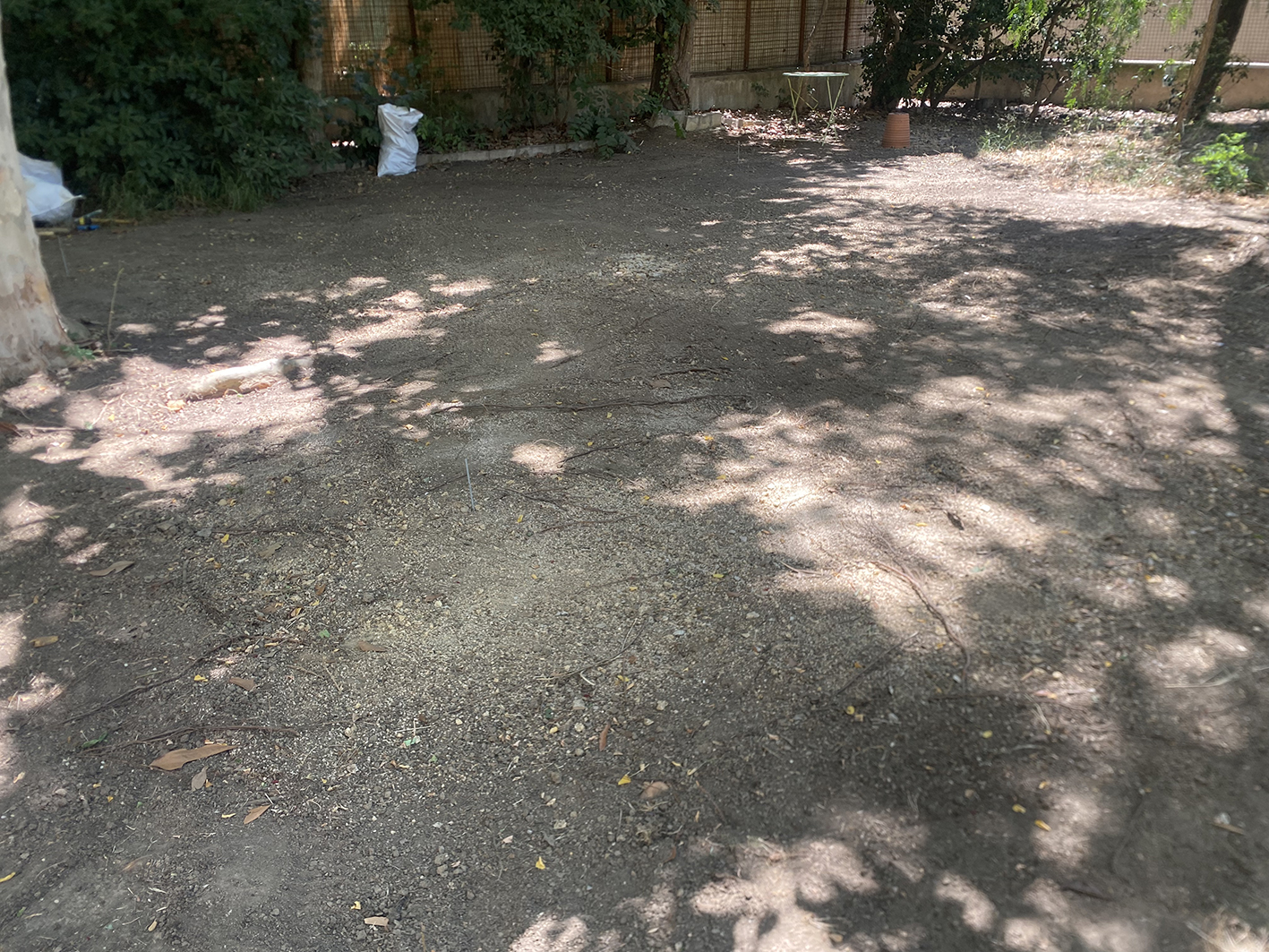 Terrasse en bois Avant