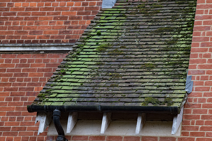 Cambridge street old red brick houses and roofs
